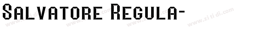Salvatore Regula字体转换